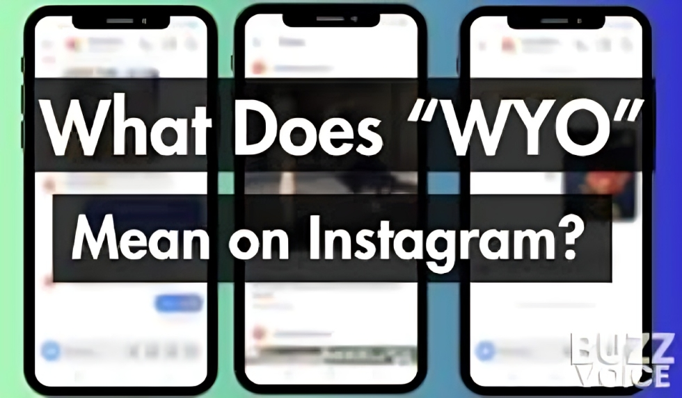 WYO Meaning