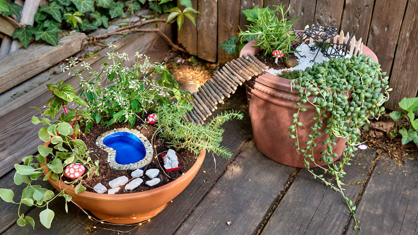 Fairy Garden Ideas